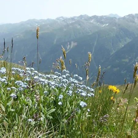 Maison d'hôtes Haus Veidlis, Familie Obkircher Sankt Jakob in Defereggen
