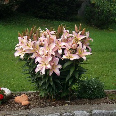 Haus Veidlis, Familie Obkircher Maison d'hôtes 4*